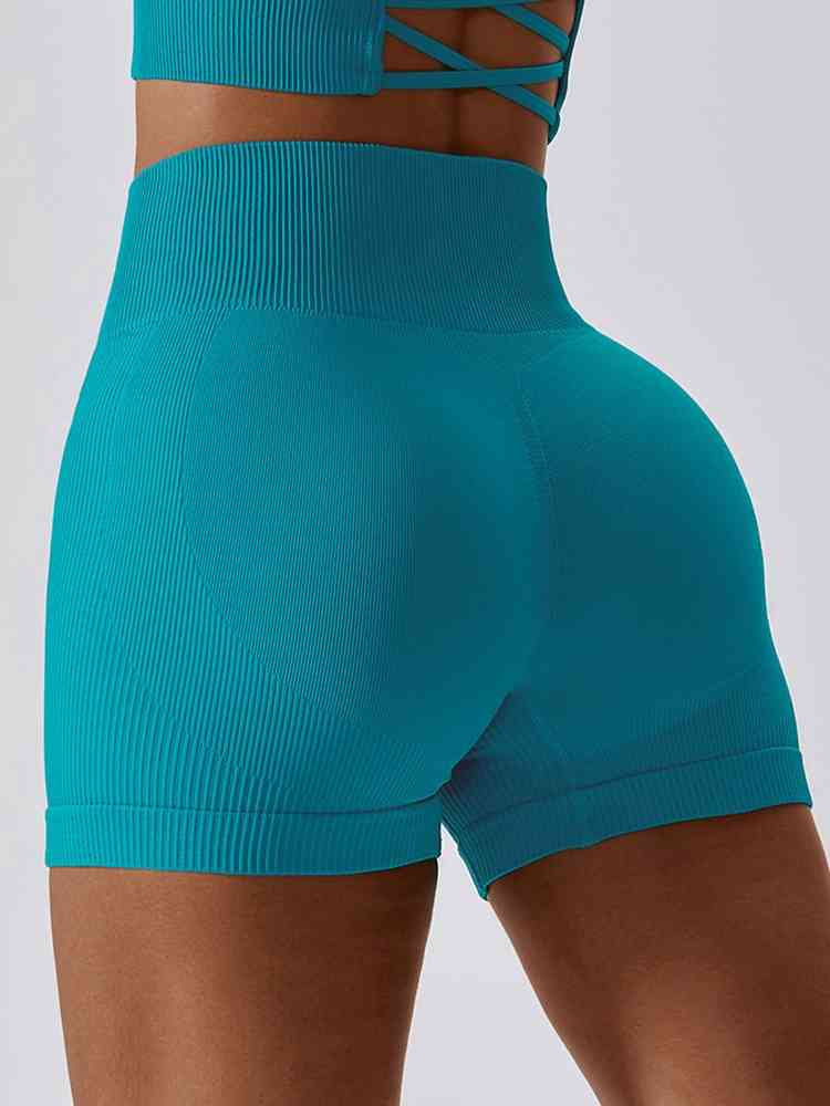 BaraBold Ribbed Shorts