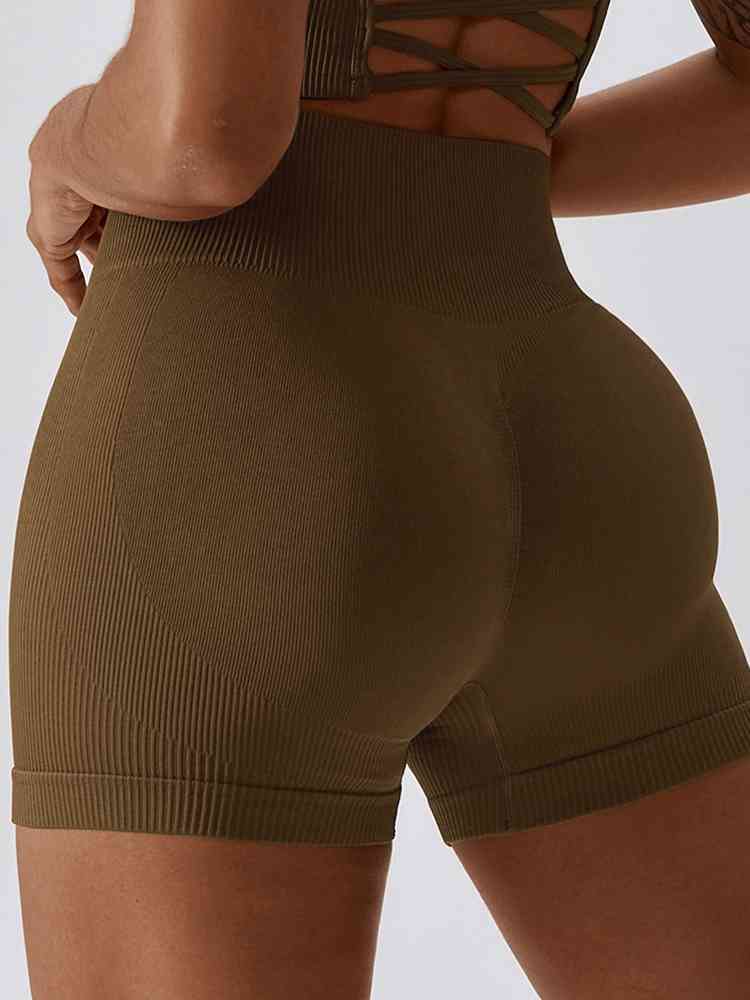 BaraBold Ribbed Shorts