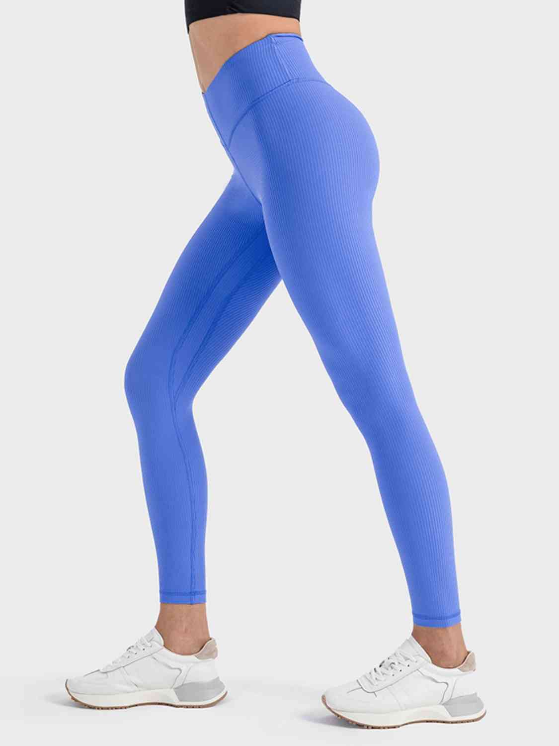 BaraTrain Seam Leggings