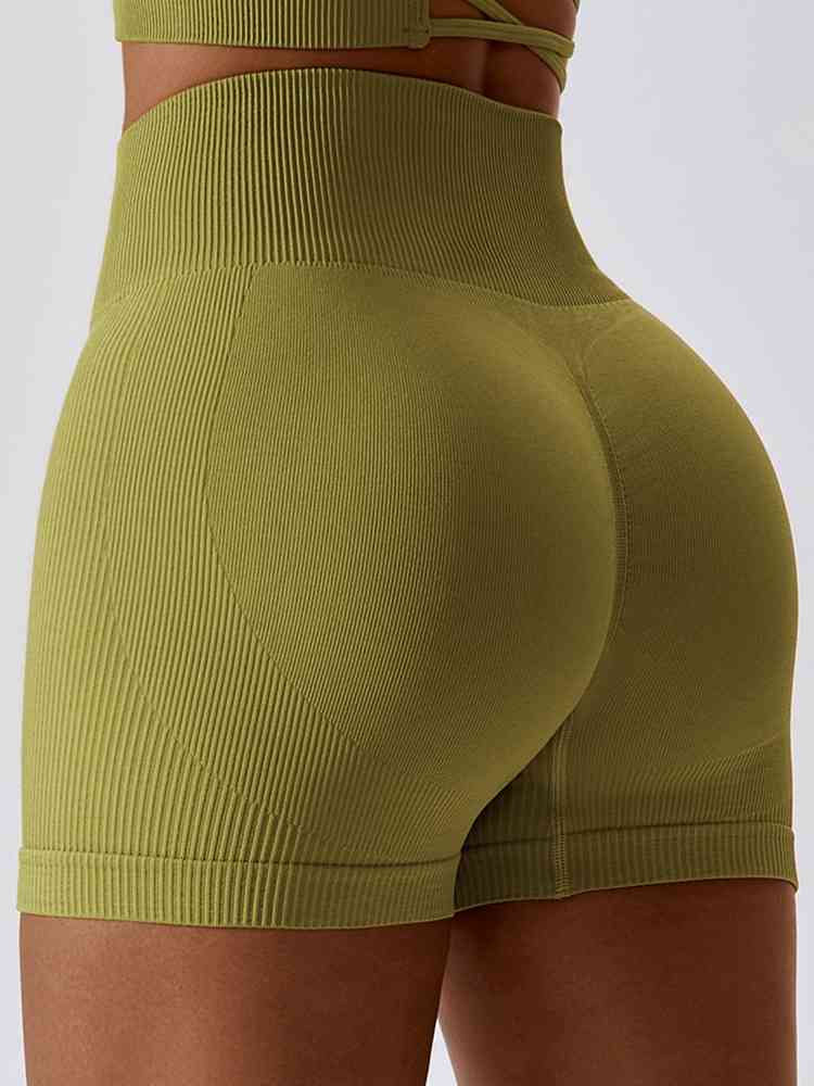 BaraBold Ribbed Shorts