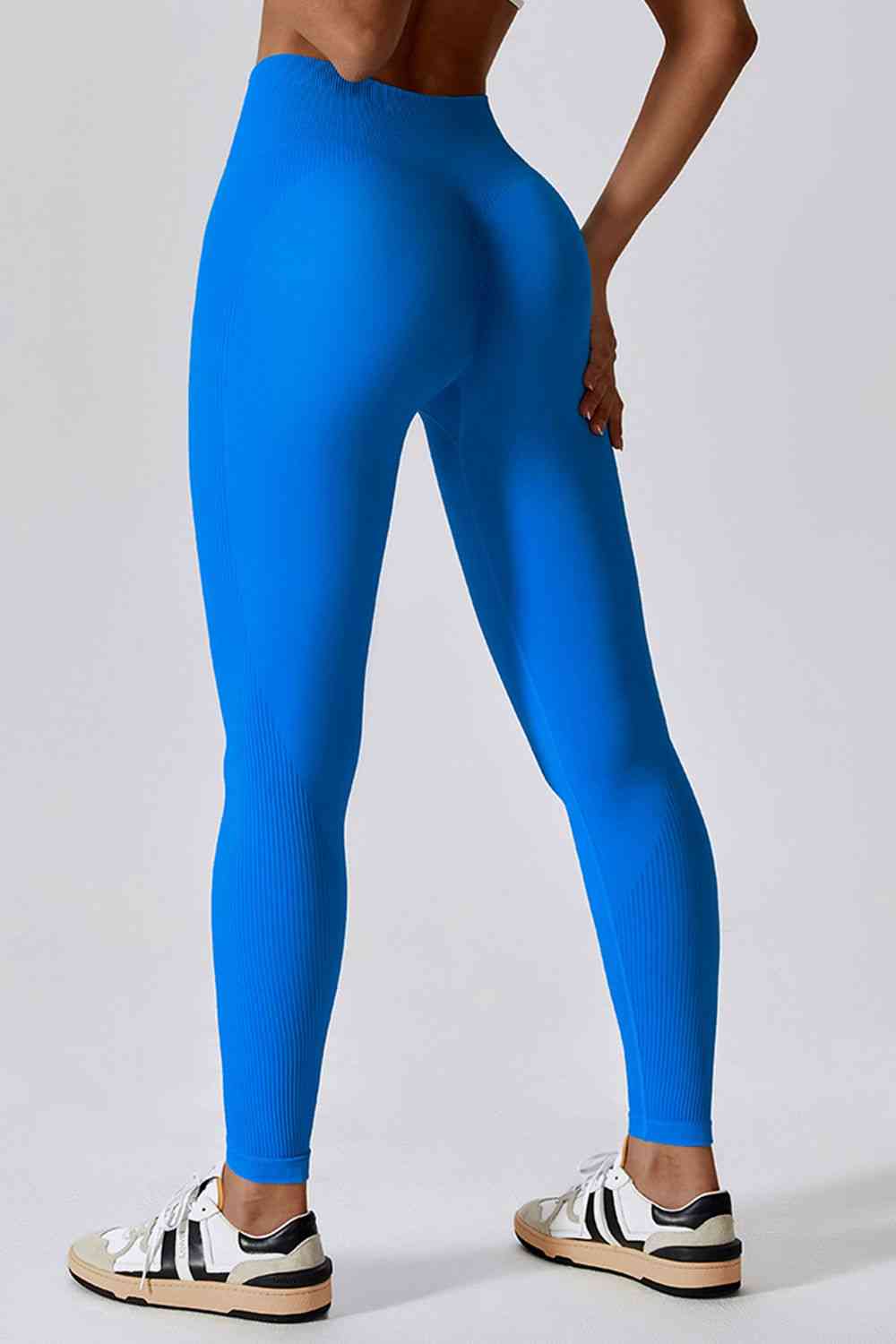 BaraBold Compression Fabric Leggings