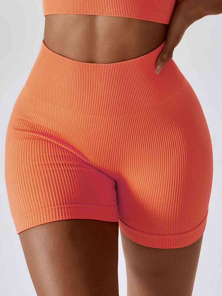 BaraBold Ribbed Shorts