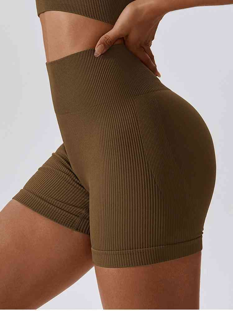 BaraBold Ribbed Shorts