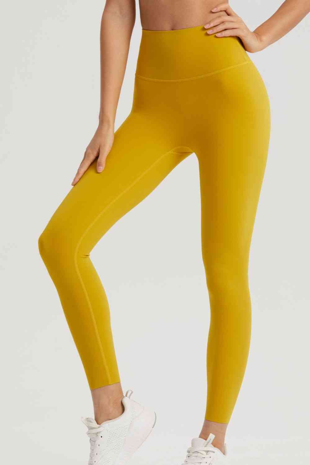 BaraTrain Leggings