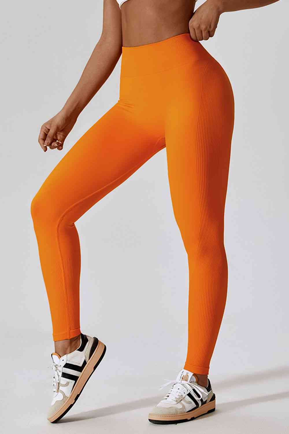 BaraBold Compression Fabric Leggings