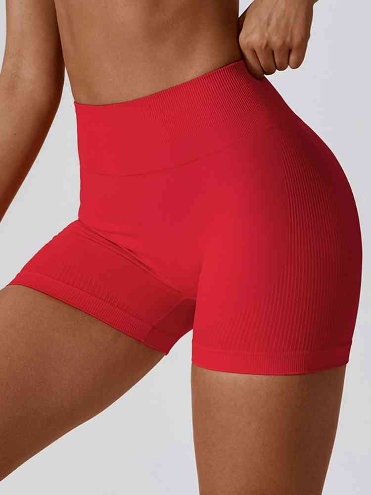 Wide Waistband Shorts