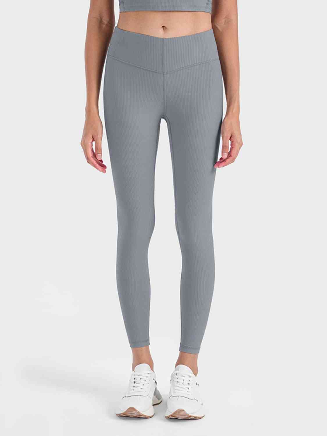 BaraTrain Seam Leggings