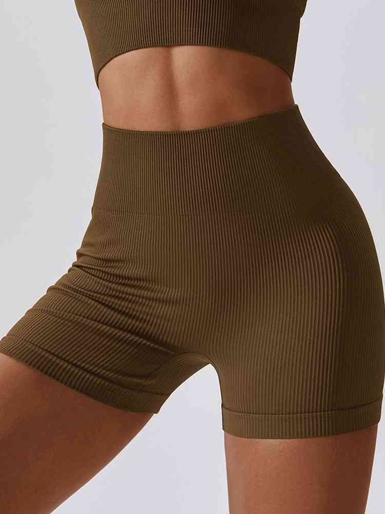 BaraBold Ribbed Shorts