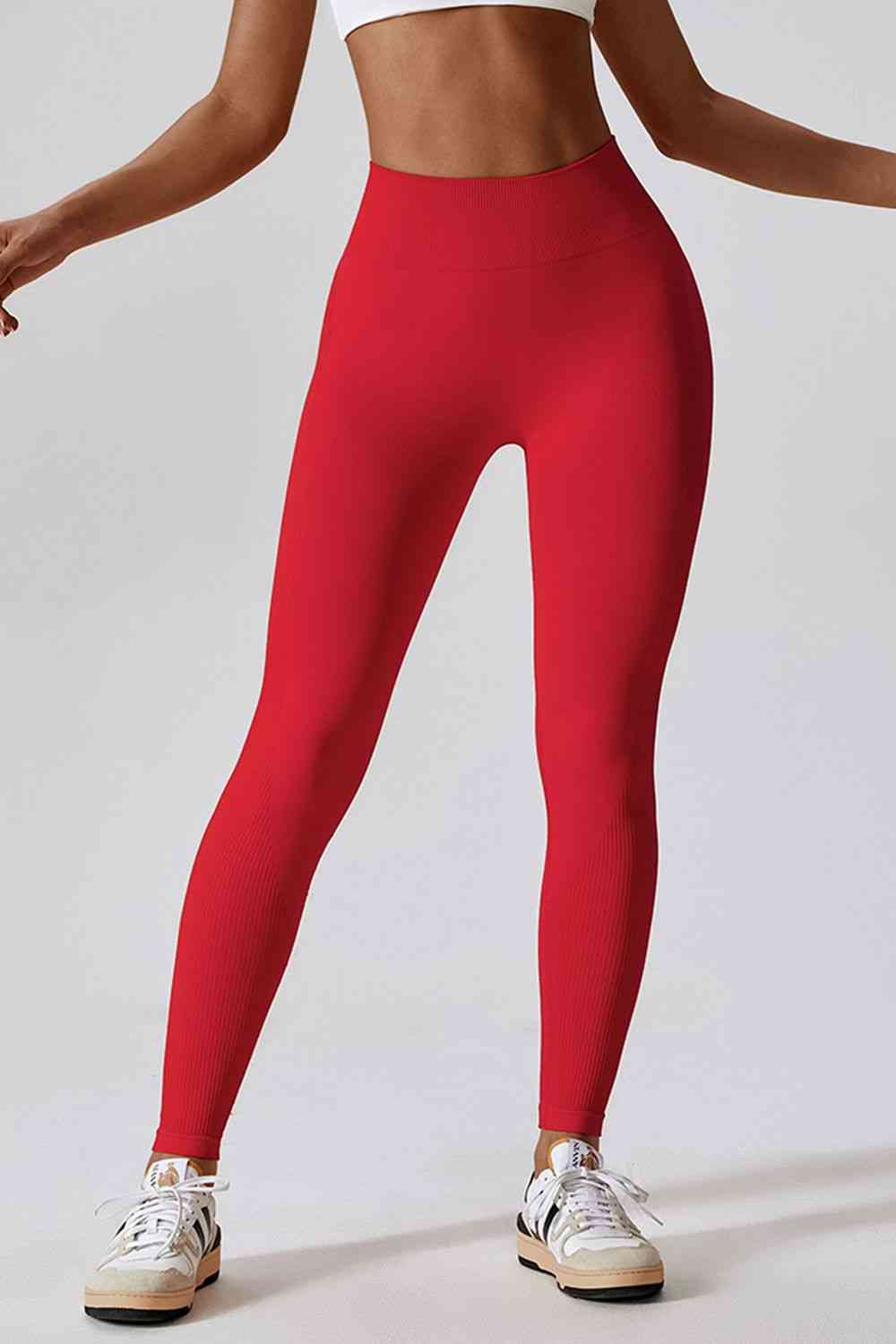 BaraBold Compression Fabric Leggings