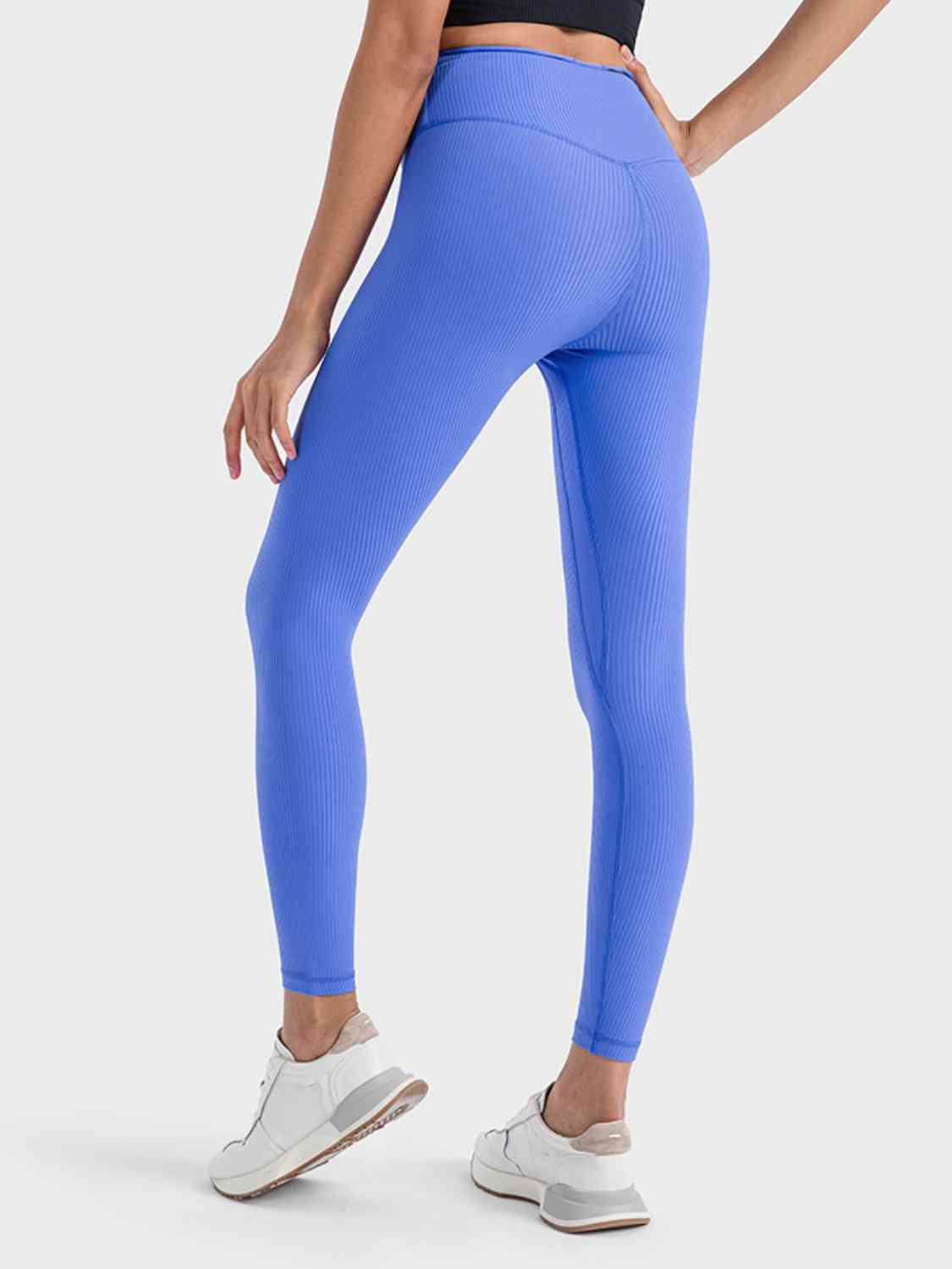 BaraTrain Seam Leggings